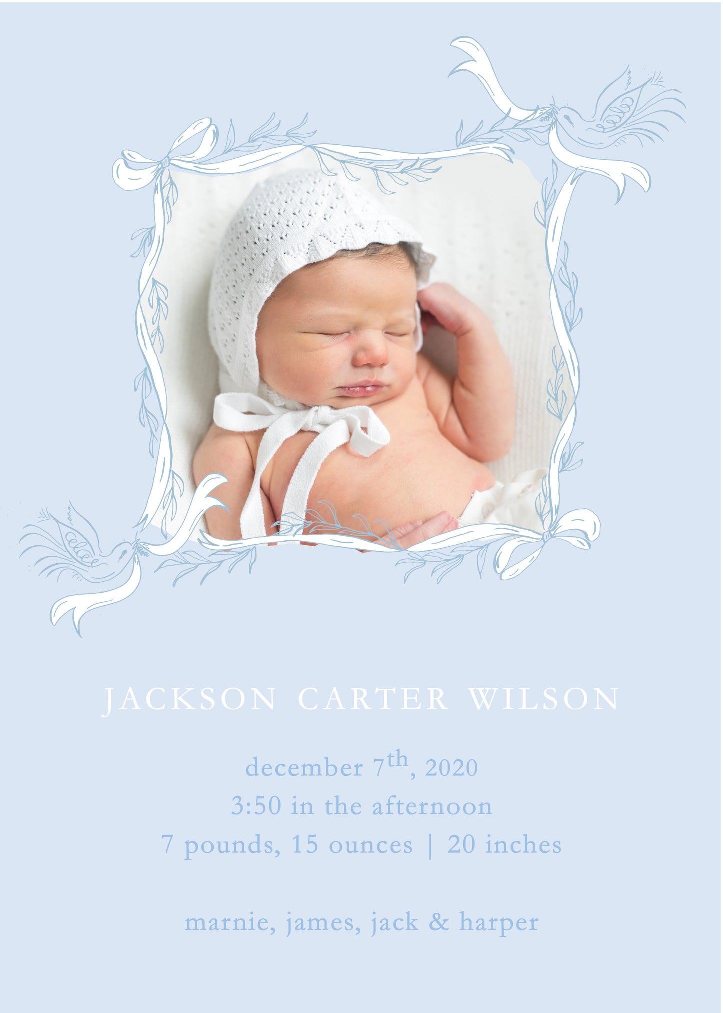 Blue Bird Banner Birth Announcement